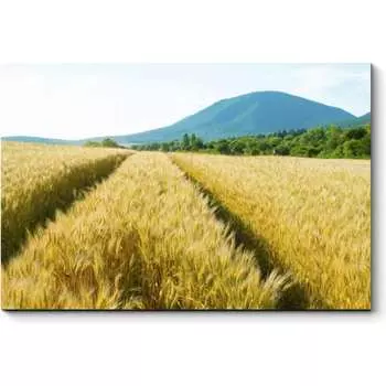 Картина Picsis 3465-9957108