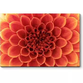 Картина Picsis 2429-10181554