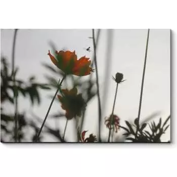 Картина Picsis 2813-12834329