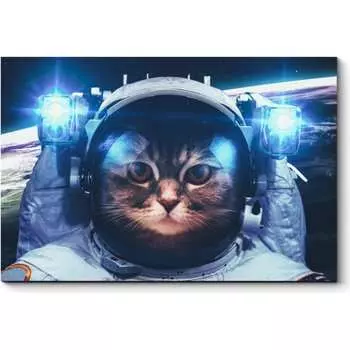 Картина Picsis 2756-9999274