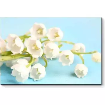 Картина Picsis 715-10416375