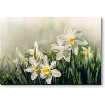 Картина Picsis 5982-13163742