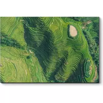 Картина Picsis 3451-9953648