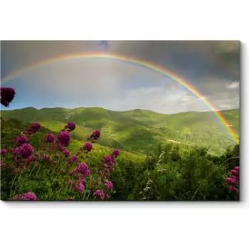 Картина Picsis 3364-10845998