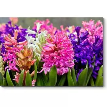 Картина Picsis 649-9925904