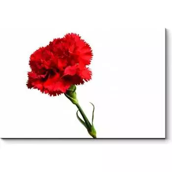 Картина Picsis 5968-13171989