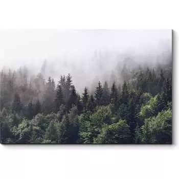 Картина Picsis 5455-10159858