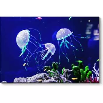Картина Picsis 4929-10934879