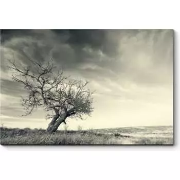 Картина Picsis 3458-9955205