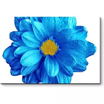 Картина Picsis 5951-13183450