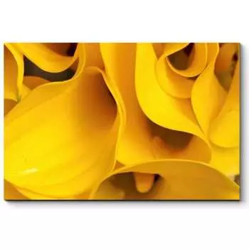 Картина Picsis 2403-9897511