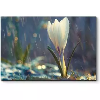 Картина Picsis 2401-9896924
