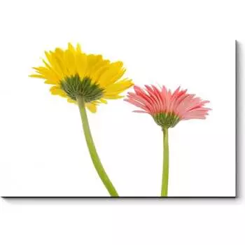 Картина Picsis 5943-11290611