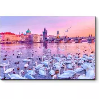 Картина Picsis 431-10289842