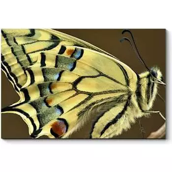 Картина Picsis 874-10446458