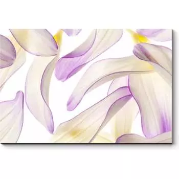 Картина Picsis 2392-10717426