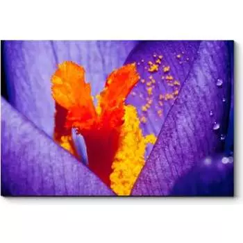 Картина Picsis 2417-9901533