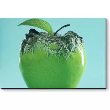 Картина Picsis 6627-13439992