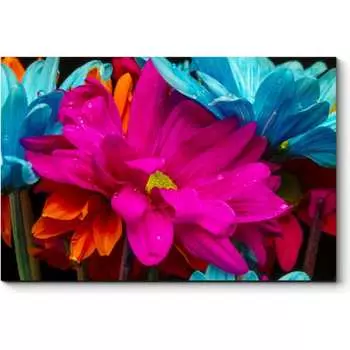 Картина Picsis 2402-9897186