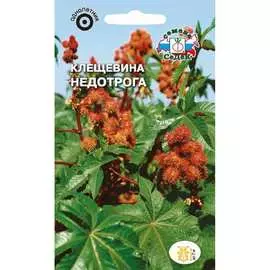 Клещевина семена СеДек