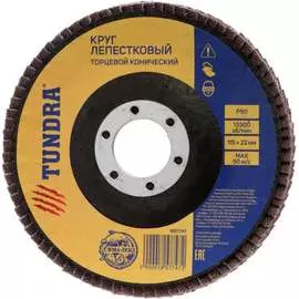 Конический торцевой лепестковый круг ТУНДРА 1857747