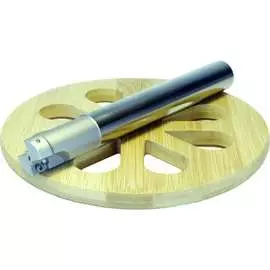 Корпусная фреза PROSAERS 31585