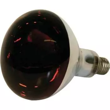 Лампа TDM ИКЗК SQ0343-0034