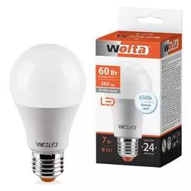 Лампа Wolta 25W55BL7E27