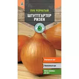 Лук семена Тимирязевский питомник