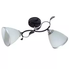 Люстра JUPITER LIGHTING
