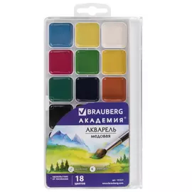 Медовые акварельные краска BRAUBERG