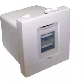 Модуль LANMASTER LAN-EZ45x45-2xUSB-WH