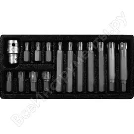 Набор бит proline 3/8" ribe м6-м14 15 предметов пластиковый кейс 10746