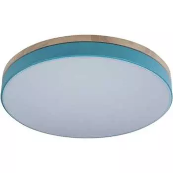 Накладной светильник LOFT IT Axel 10001/36 Blue
