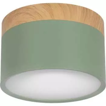 Накладной светильник LOFT IT Grape 10162 Green