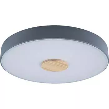 Накладной светильник LOFT IT Axel 2 10003/24 Grey