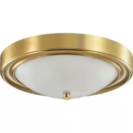 Настенно-потолочный светильник Lumion NINA 5259/2C