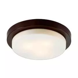 Настенно-потолочный светильник ODEON LIGHT