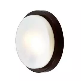 Настенно-потолочный светильник ODEON LIGHT