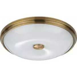 Настенно-потолочный светильник ODEON LIGHT PELOW 4956_4