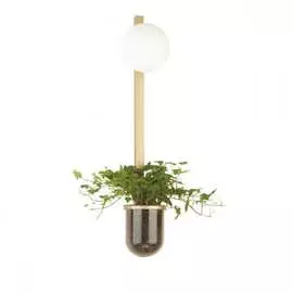 Настенный светильник ODEON LIGHT FLOWER 4682/1WB