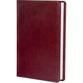 Недатированный ежедневник Attache