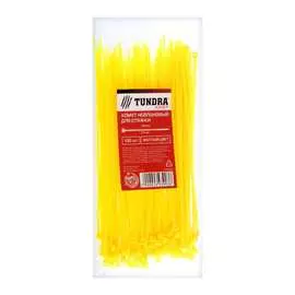 Нейлоновый хомут для стяжки ТУНДРА krep 2393903
