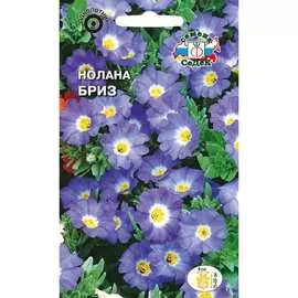 Нолана семена СеДек