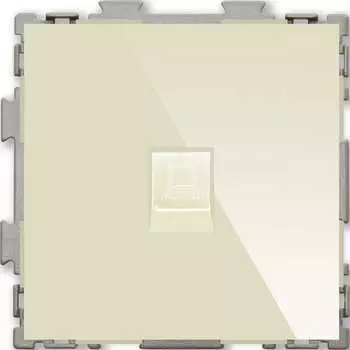 Одинарная компьютерная розетка CGSS Практика PL-W201C-BGG