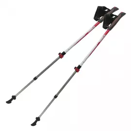 Палки для скандинавской ходьбы tramp compact trr-004