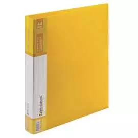 Папка BRAUBERG Contract 221795
