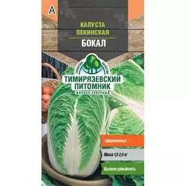 Пекинская капуста капуста Тимирязевский питомник