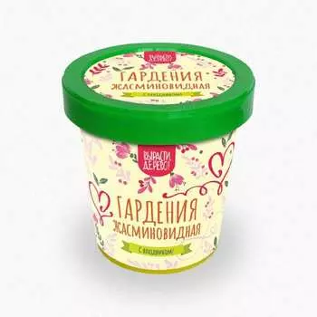 Подарочный набор для выращивания растений Вырасти,Дерево! Гардения жасминовидная zk-111