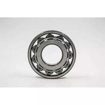 Подшипник DINROLL N205 2001001027001
